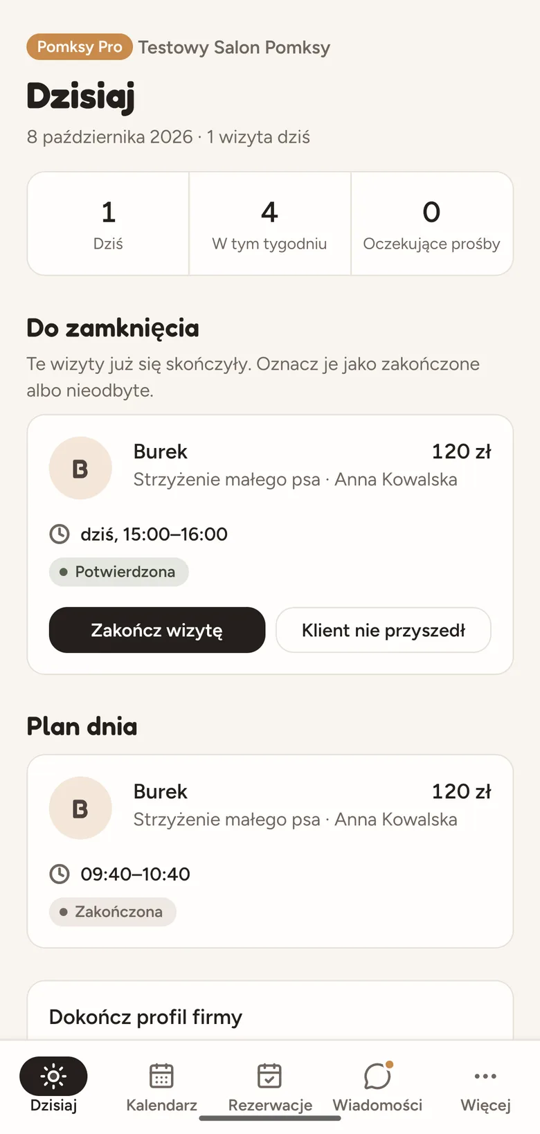 Pomksy Pro Lite: ekran Dzisiaj z liczbą wizyt, wizytą do zamknięcia i planem dnia